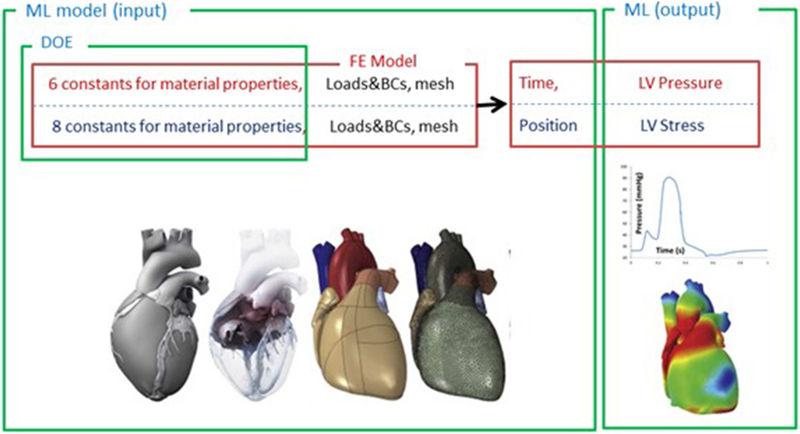 FIGURE 1 |