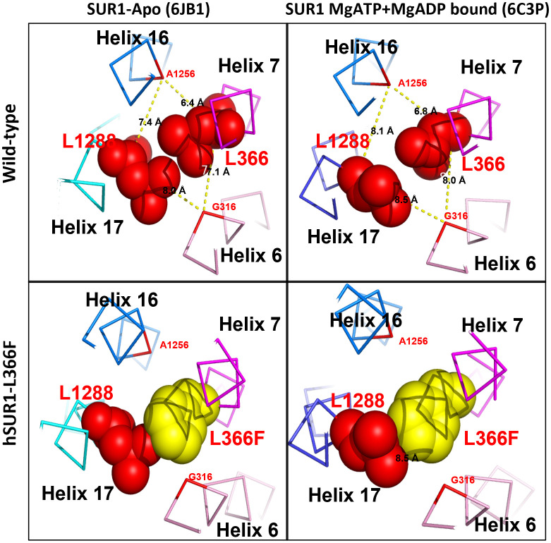 Figure 2