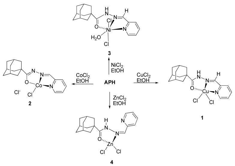 Scheme 2