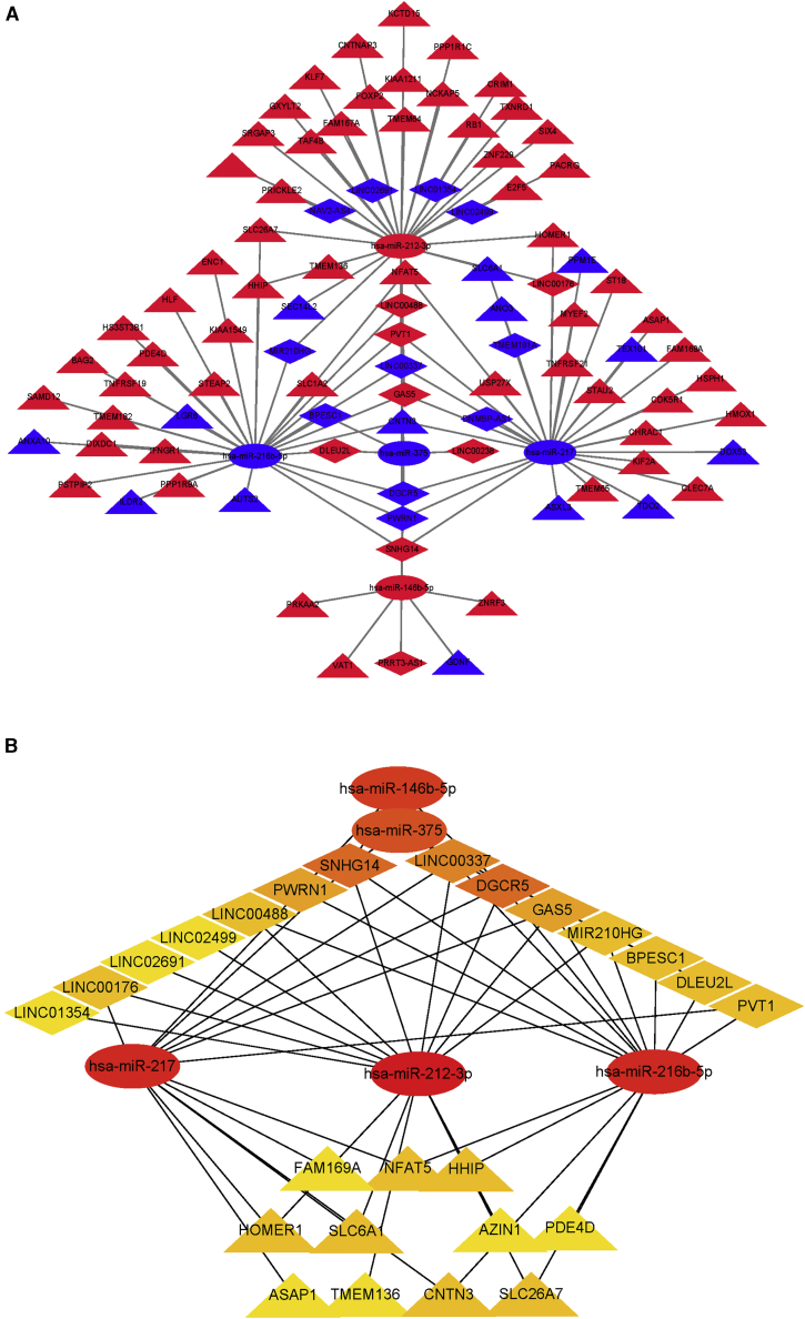 Figure 5