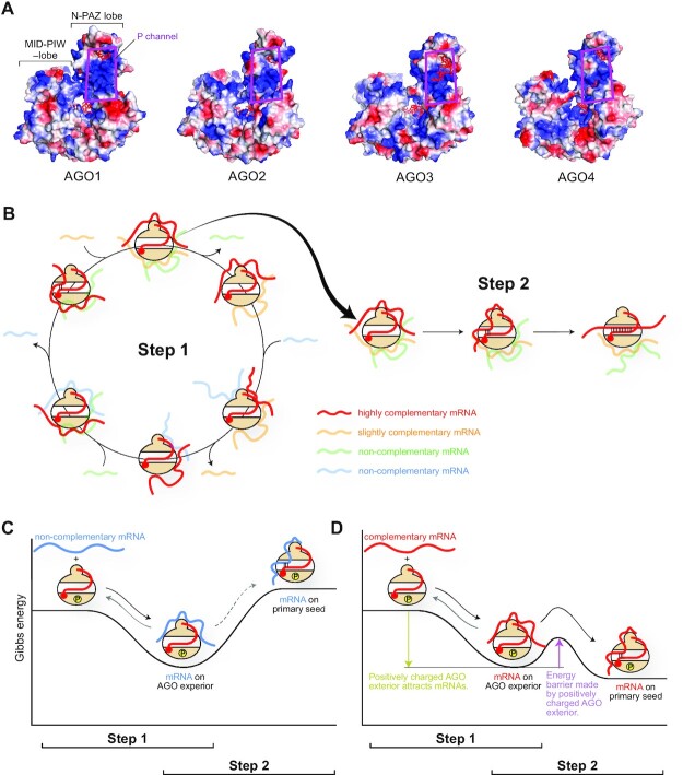 Figure 12.