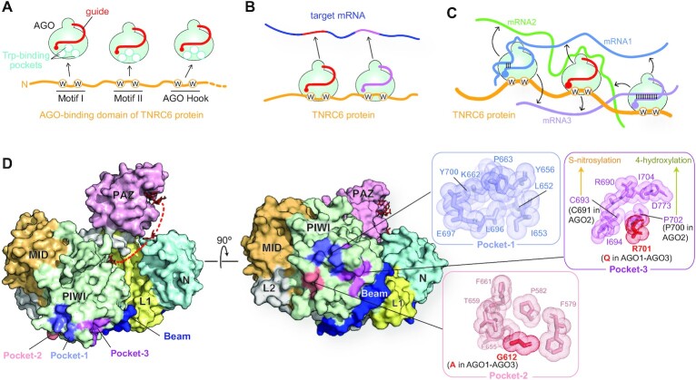 Figure 14.