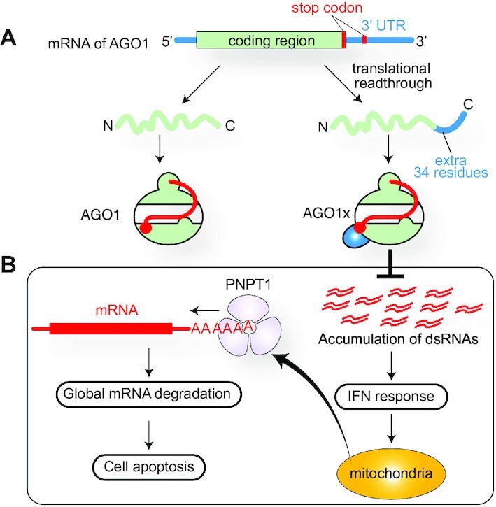 Figure 16.