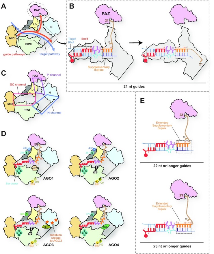 Figure 9.