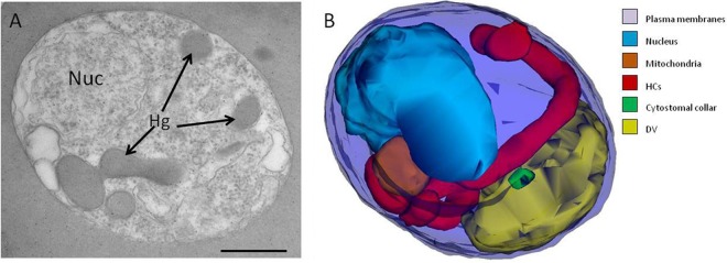 FIG 7