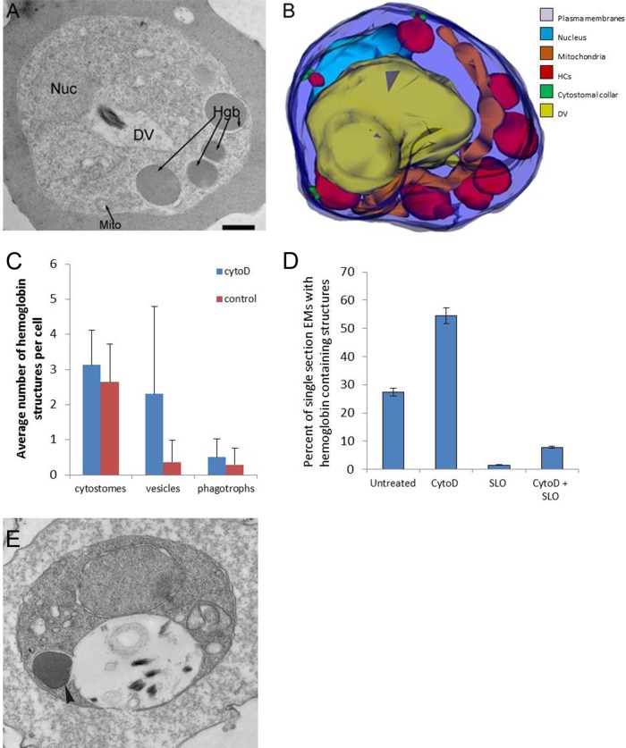 FIG 4