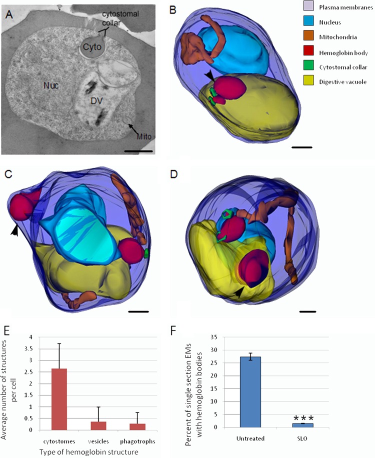 FIG 1