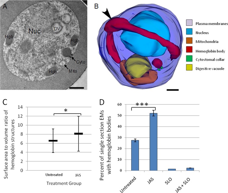 FIG 3