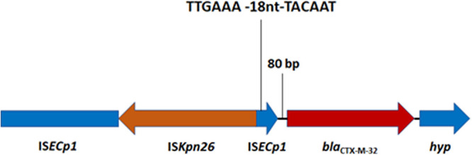 FIG 2