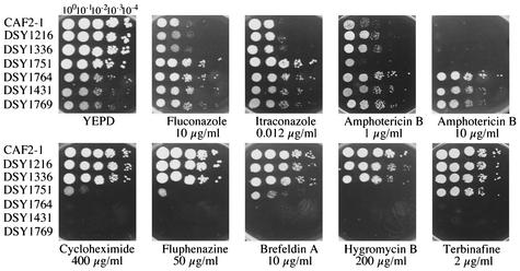 FIG. 4.