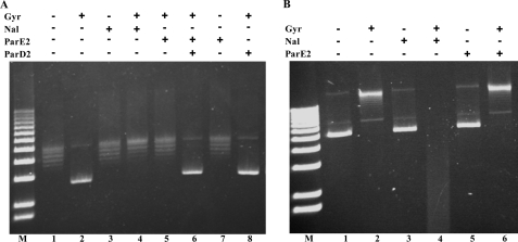 FIGURE 7.