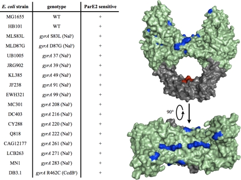 FIGURE 9.