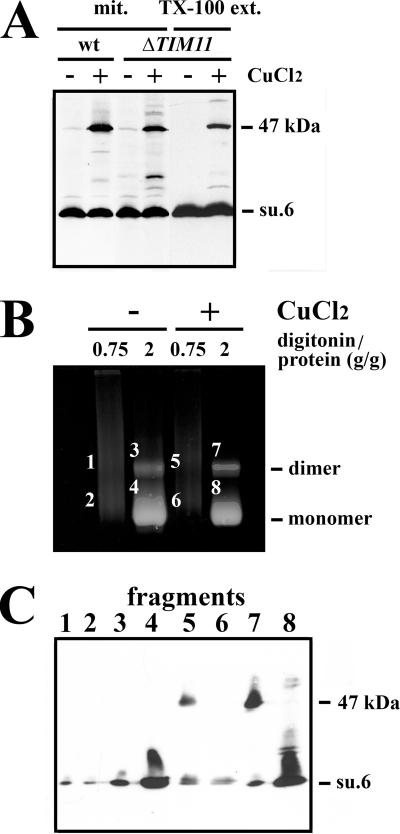 FIGURE 6.