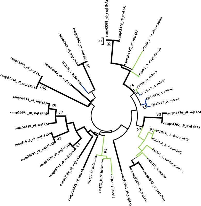 Figure 7