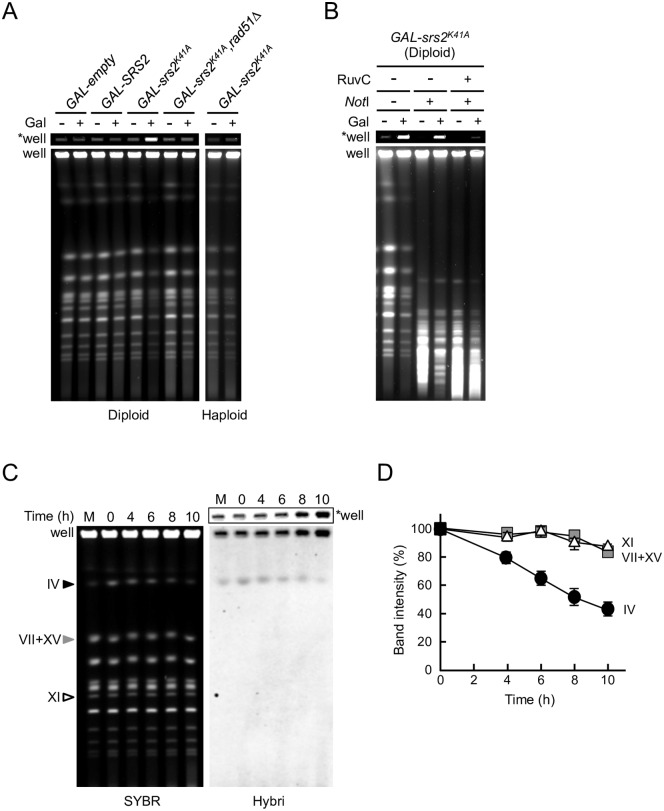 Fig 4