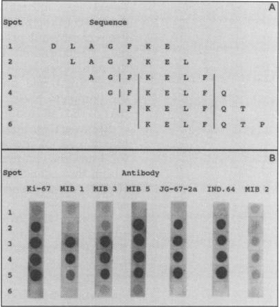 graphic file with name jclinpath00219-0053-b.jpg