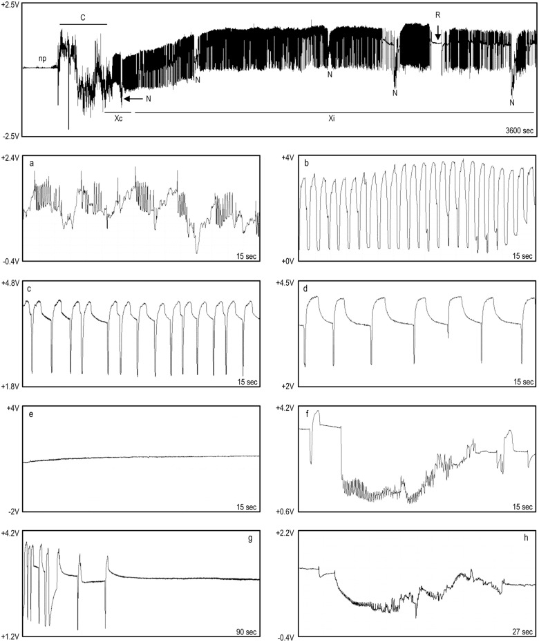 Fig 3