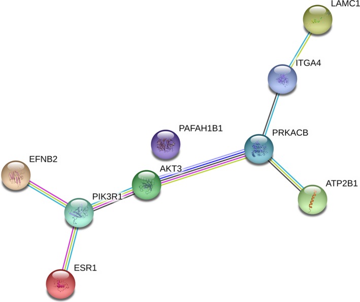 Figure 12