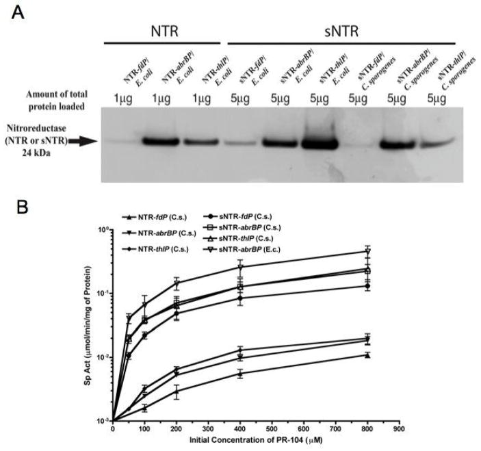 Fig. 4