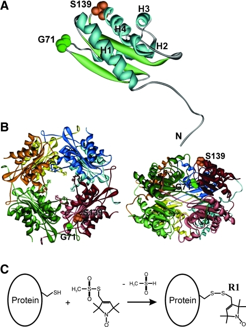 FIG. 1.