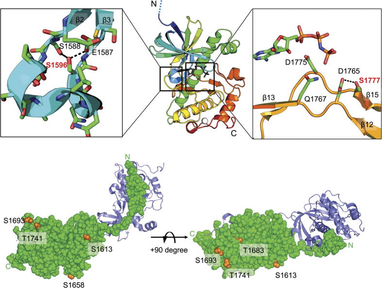 Figure 6