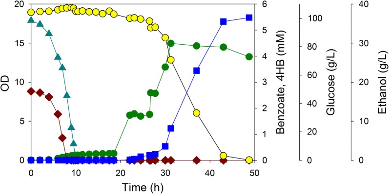 Fig. 8