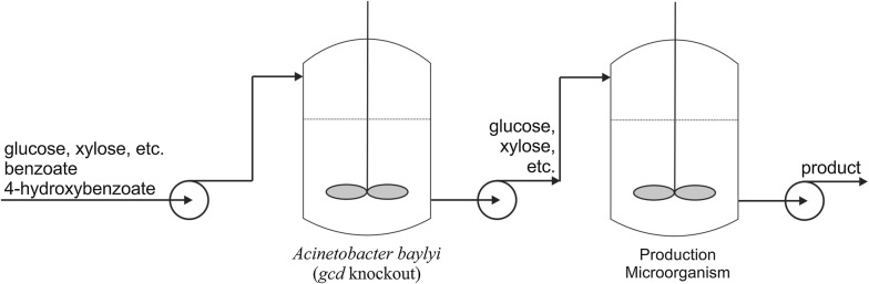 Fig. 7