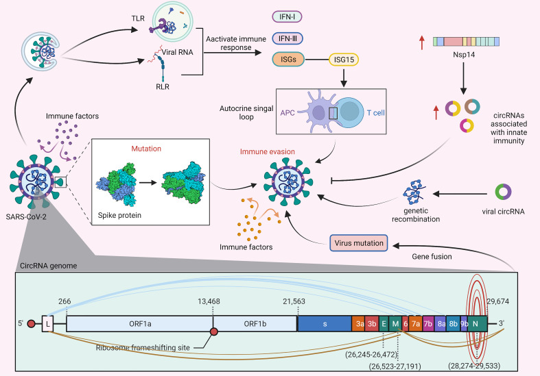 Figure 4