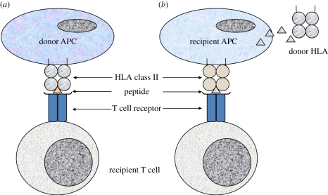 Figure 2.