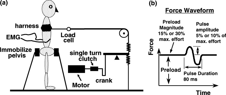 Fig. 1