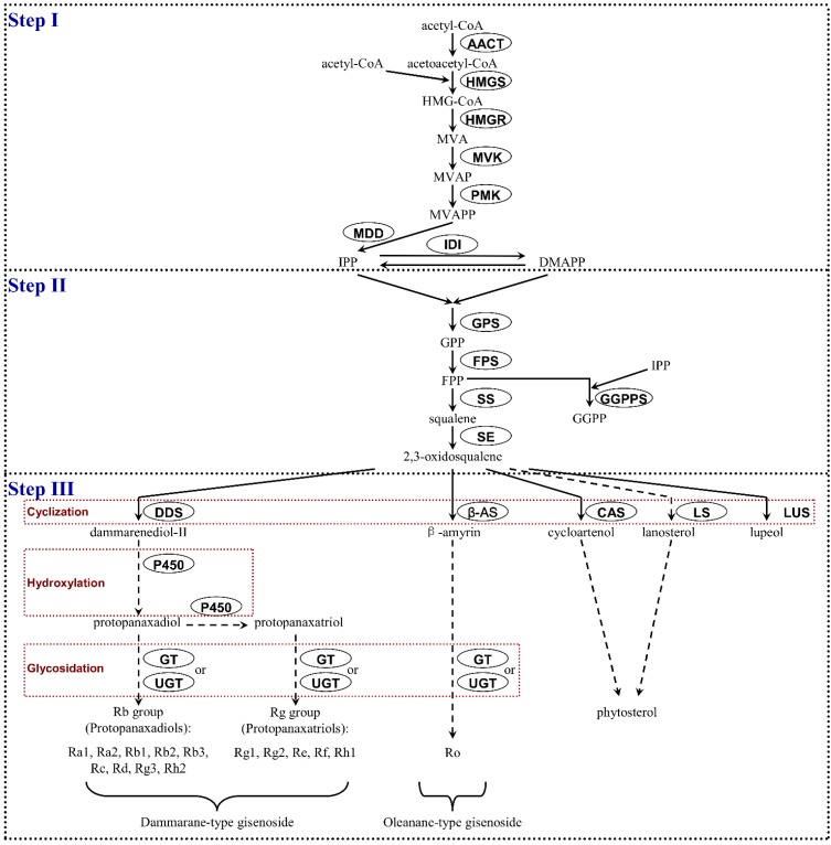 Figure 7