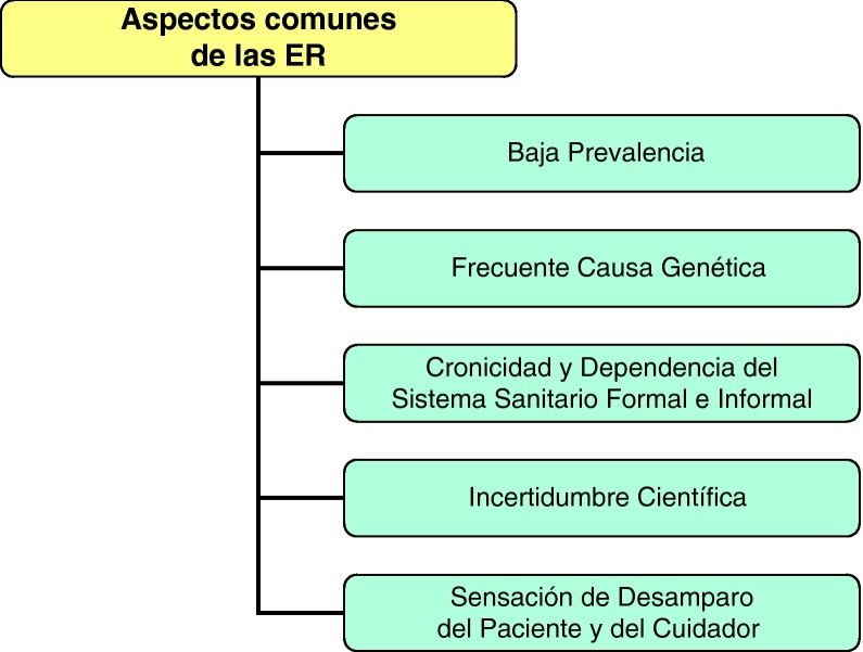 Figura 8