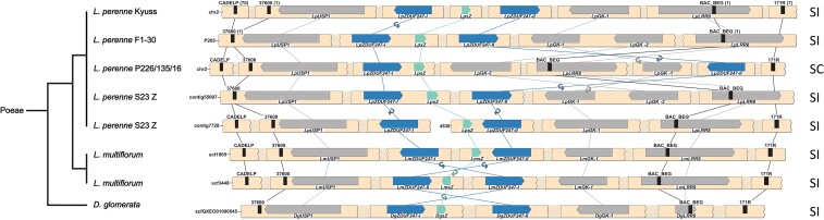 
Fig. 2.