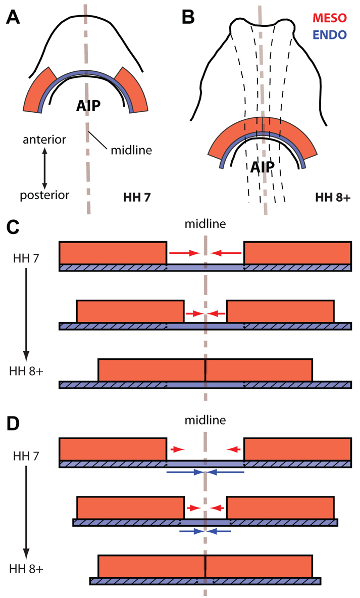 Fig. 8.