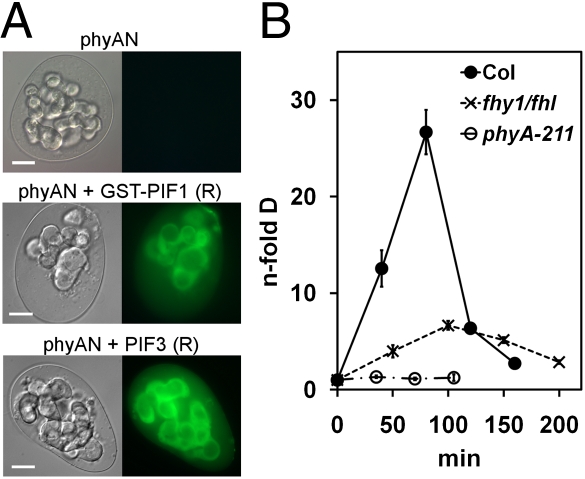 Fig. 4.