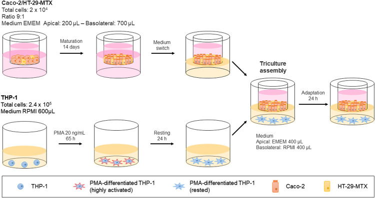 FIGURE 4