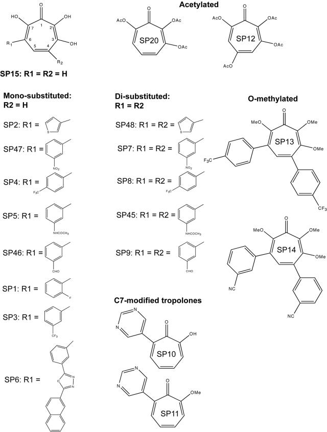 FIG. 2.