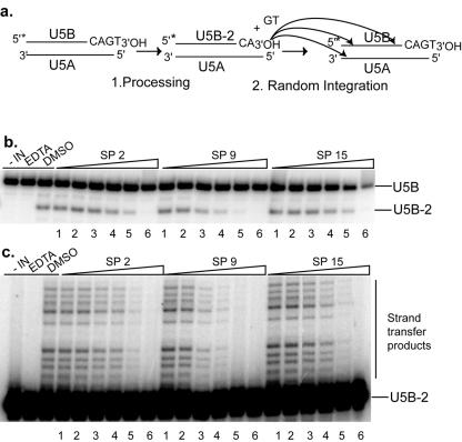 FIG. 6.