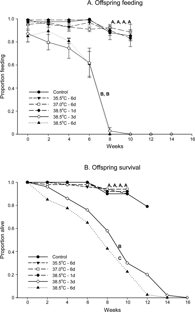 Fig 5