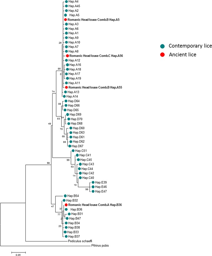 Fig 3