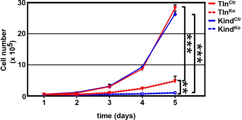 Figure 1—figure supplement 3.