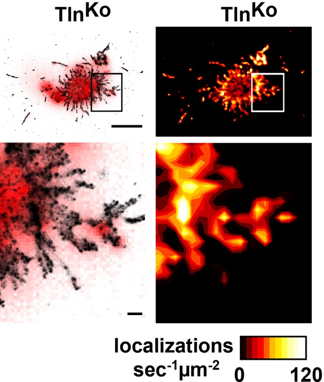 Figure 3—figure supplement 3.