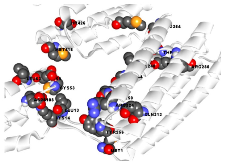 Figure 2