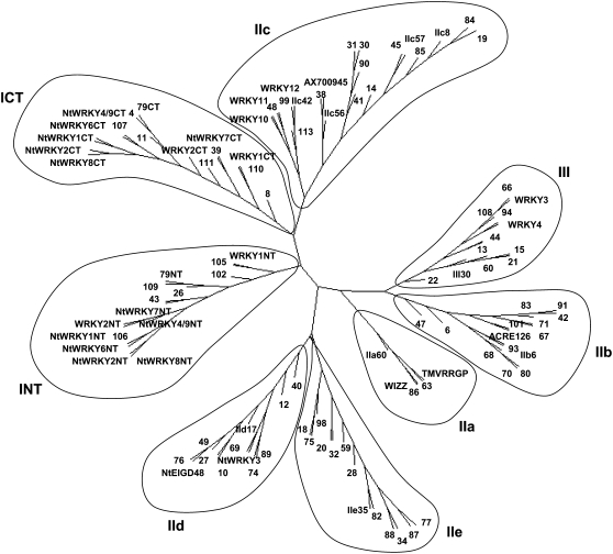 Figure 2.