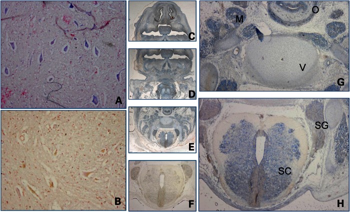 Figure 4.