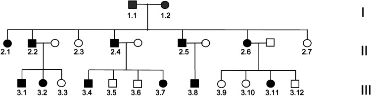 Figure 1.