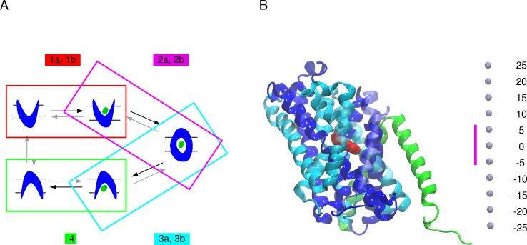 Fig 1