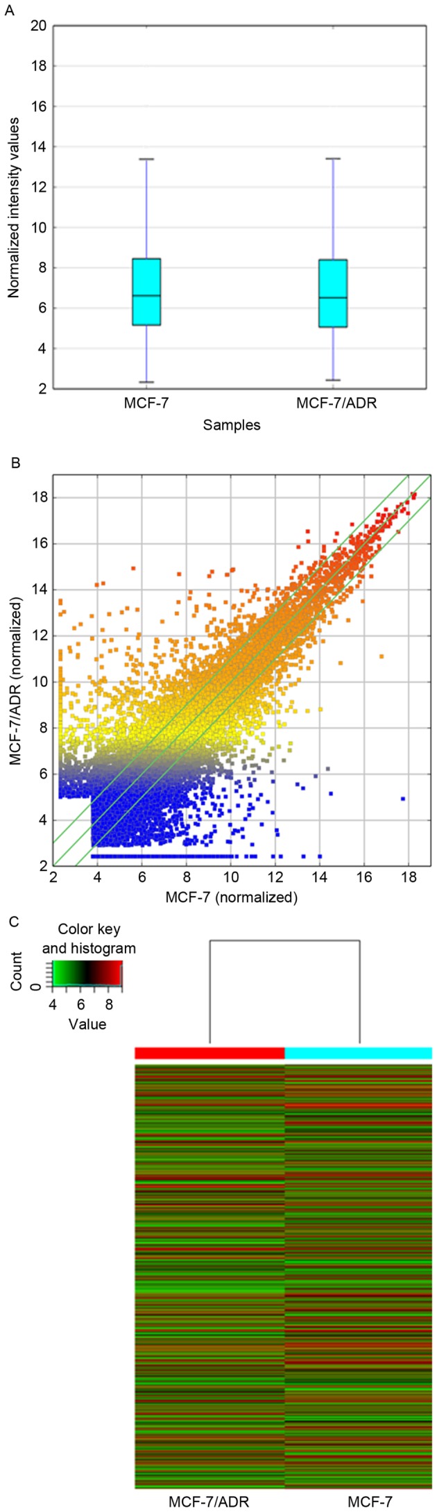 Figure 2.