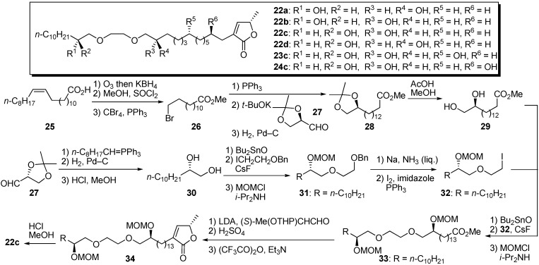 Scheme 3