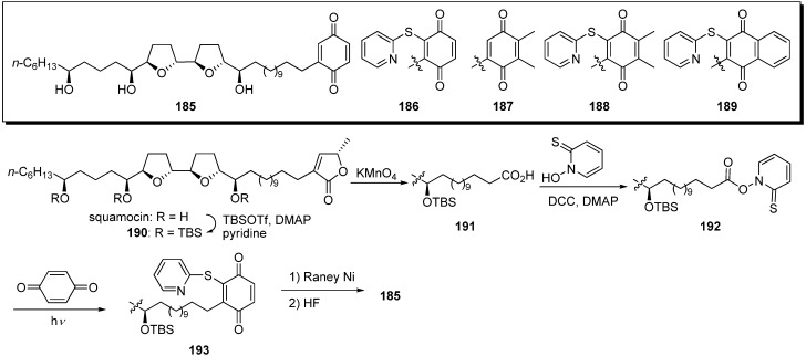 Scheme 14